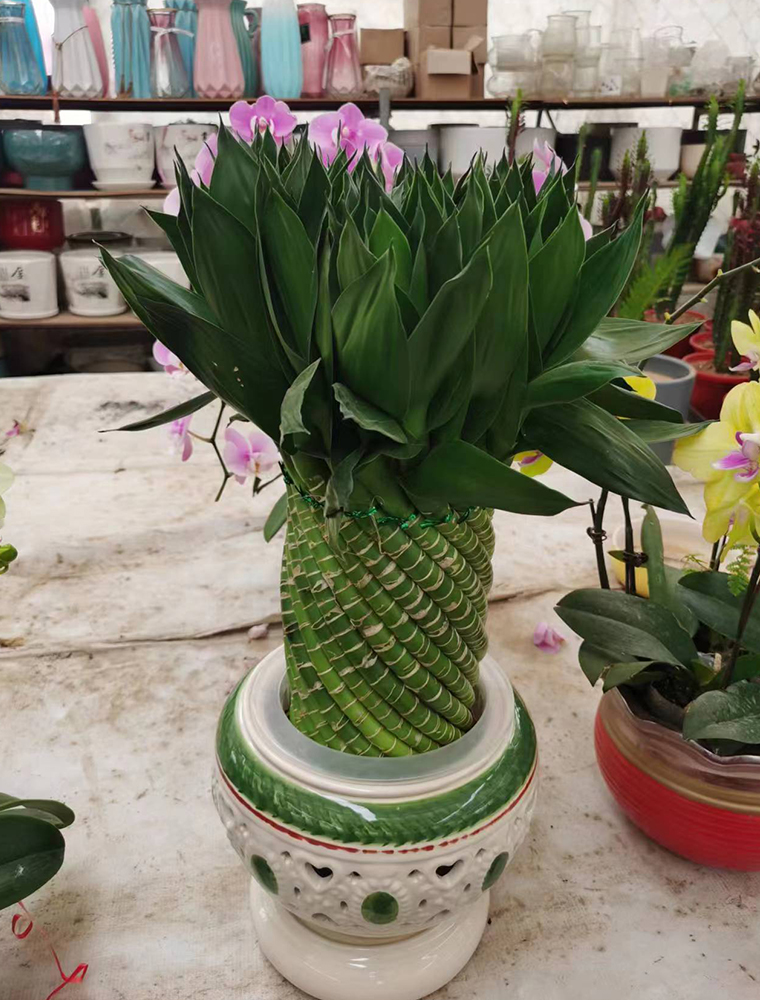 風(fēng)水輪-竹子